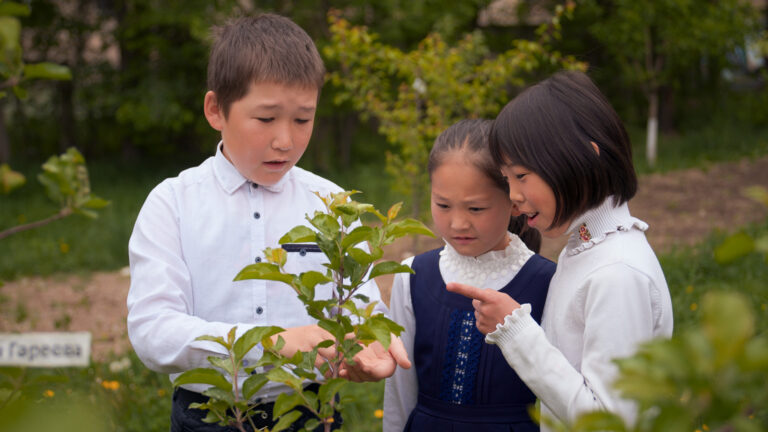 Seeds of resilience